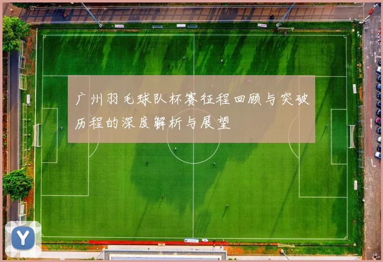 广州羽毛球队杯赛征程回顾与突破历程的深度解析与展望