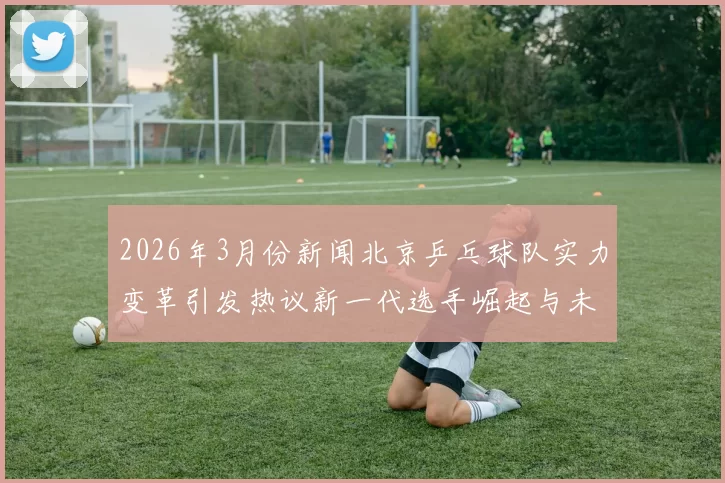 2026年3月份新闻北京乒乓球队实力变革引发热议新一代选手崛起与未来发展方向探讨